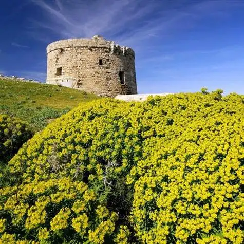 真实自然风景头像高清好看的最美大自然微信头像图片