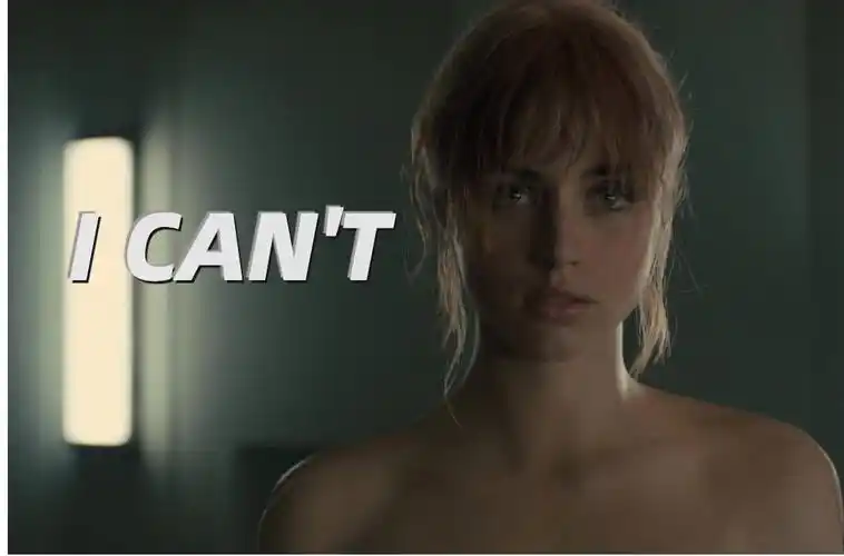 32 36343733【银翼杀手2049】