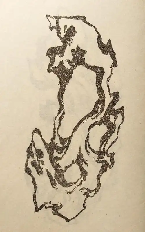 国画---好美的太湖石( 学画石素材)