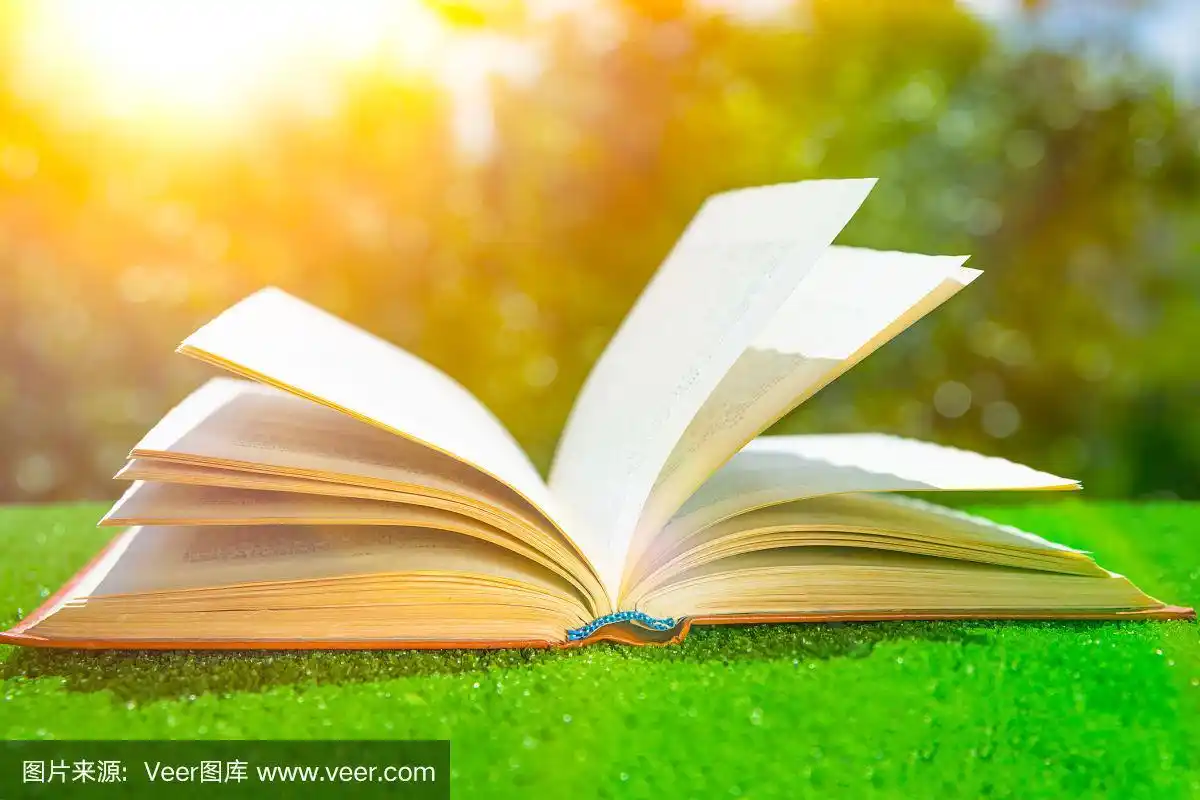 在阳光下的绿草上打开书.