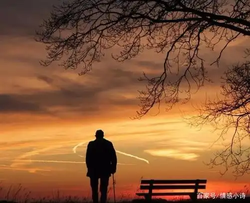 这才是中年男人最大的优势,很多人却忽略了