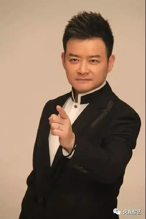 央视综艺男主持人帅气照片大放送,你被圈粉了吗?