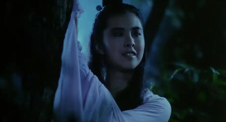 倩女幽魂王祖贤