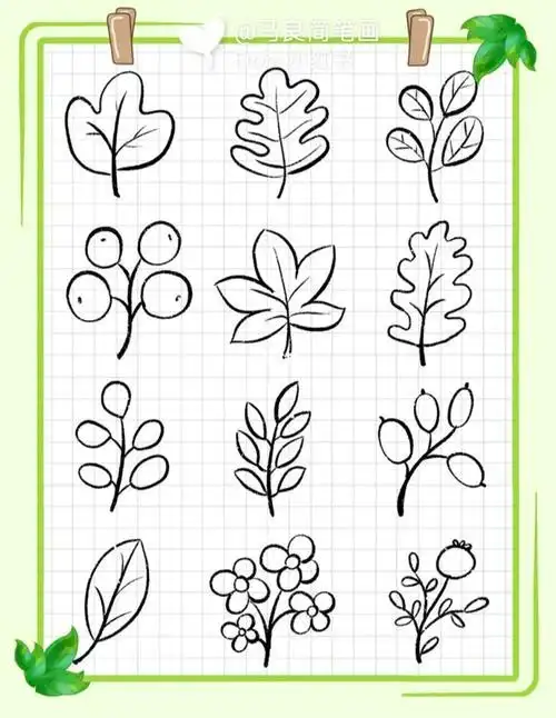 简笔画|各种树叶画法简单叶子零基础练习简笔画教程