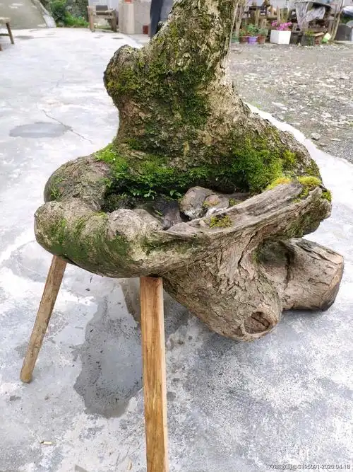 盆子形老树根木雕根雕花盆