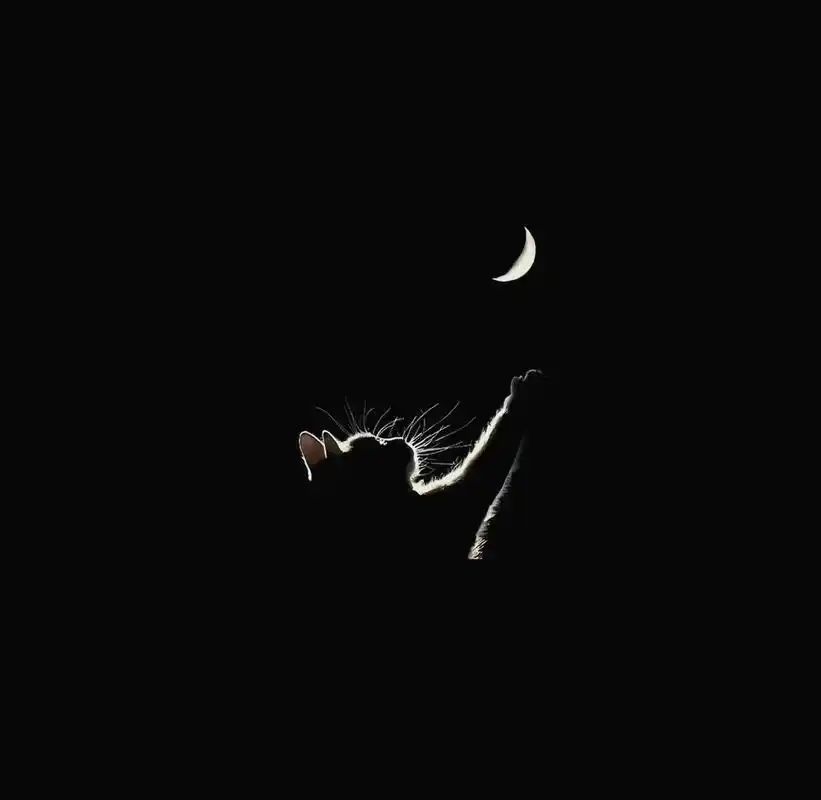 主动给的是偏爱 伸手要的是施舍.抖音背景图,背景图高级感,背 - 抖音