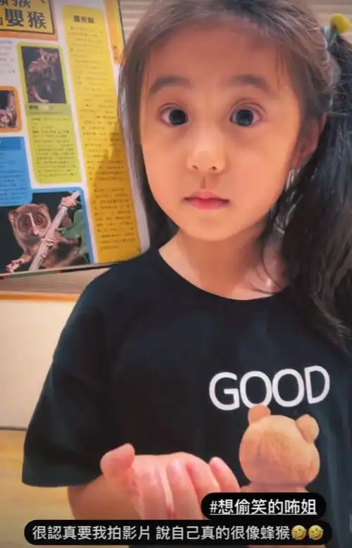 贾静雯久违晒俩女儿,咘咘瞪眼搞怪波妞认真拼乐高,姐