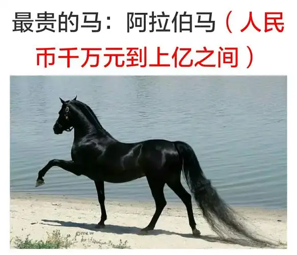 急诊室里,医生问躺在担架上伤痕累累的我:"怎么伤成这样?