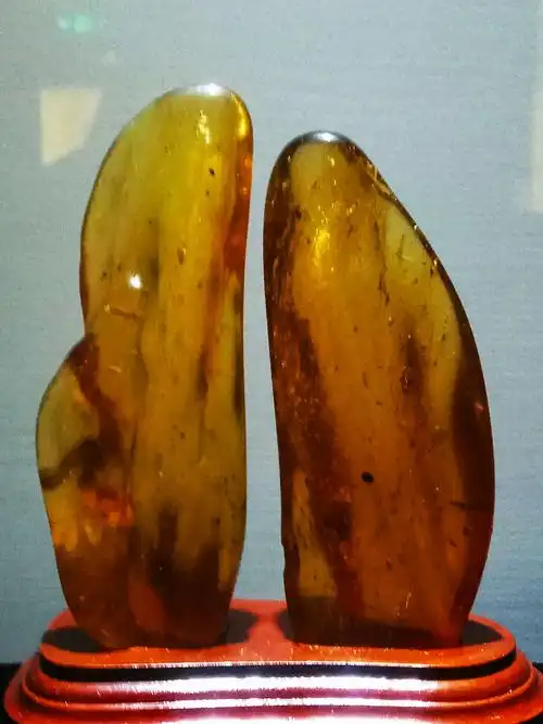 琥珀密蜡,是一种树脂化石,有千年琥珀,万年密蜡之称.