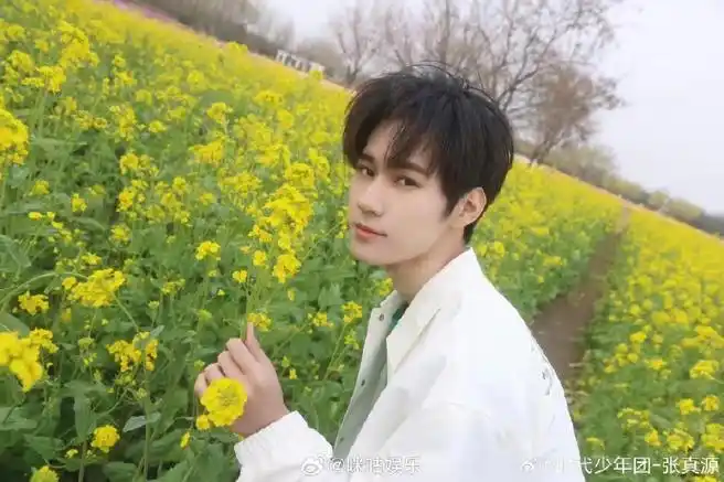张真源油菜花田照##咪咕发声机