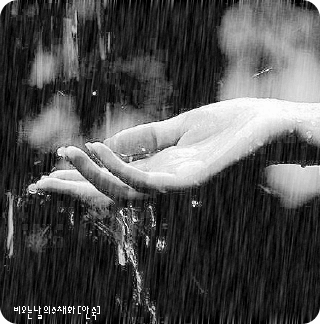 承载的份量有多重只有湿漉漉的叶子知道每一滴雨水的落下其实漂流岁月