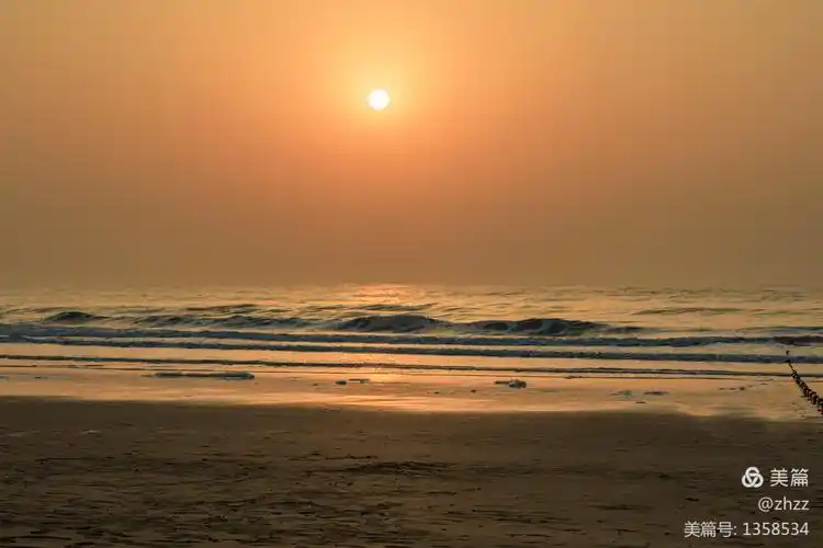 清晨,向着太阳.