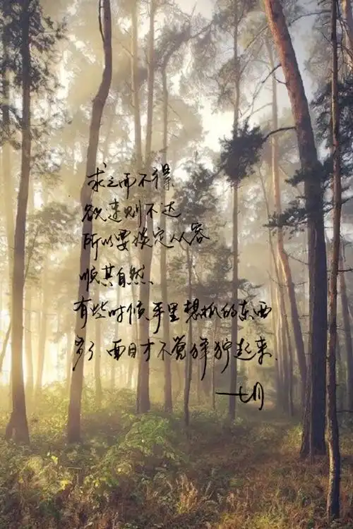 手写 明信片 高清 暖心语录 练字 书法 唯美 意境 文艺 文字 句子