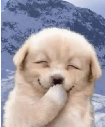 开心一刻笑话全集196