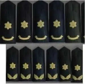 但为了与军官军衔有相对应的等级,设置了文职干部的级别(特级,1级,2级