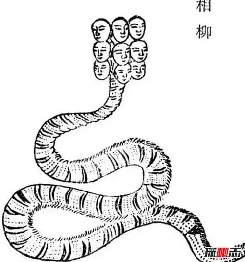 上古神话凶神相柳图片九婴和相柳是同一物种九头蛇身