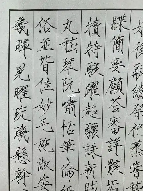 百日练字计划 | 瘦金体篇《千字文》十