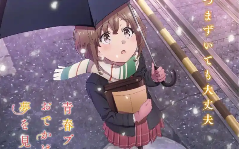 "青春猪头少年不会梦到娇怜外出妹"4k(6)