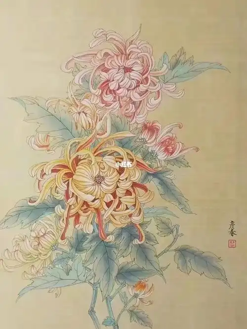 画家  #国画  #工笔画  #菊花