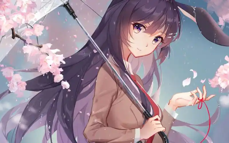 樱岛麻衣喜欢吗那就一次看个够吧