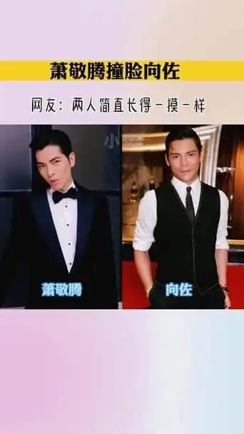 两人简直如同镜像一般相似 萧敬腾