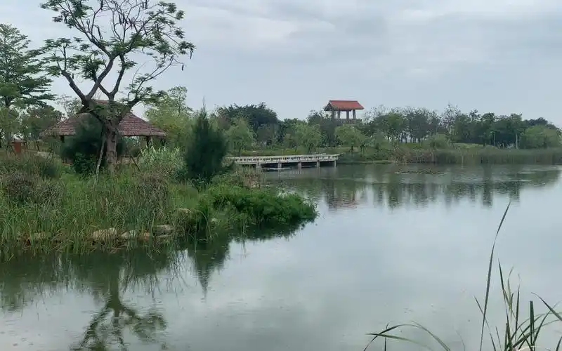 石狮湿地公园 下雨的景色 还有一堆蘑菇_哔哩哔哩_bilibili