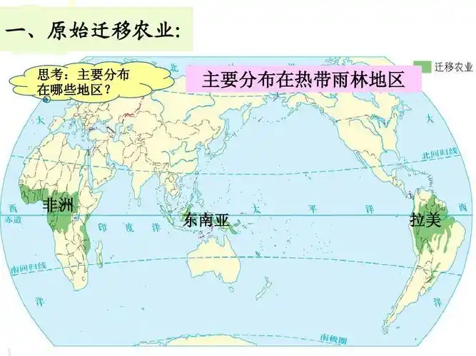 主要分布在热带雨林地区 非洲 东南亚 拉美