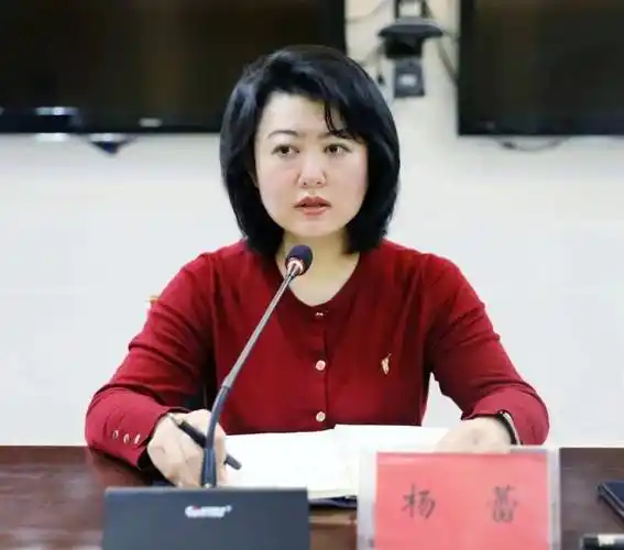 杨蕾守好小门保好家门管好城门筑牢任泽疫情防控的坚固防线