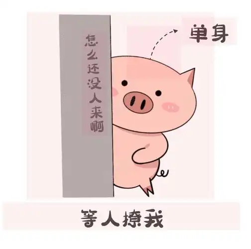 单身去哪里找对象?