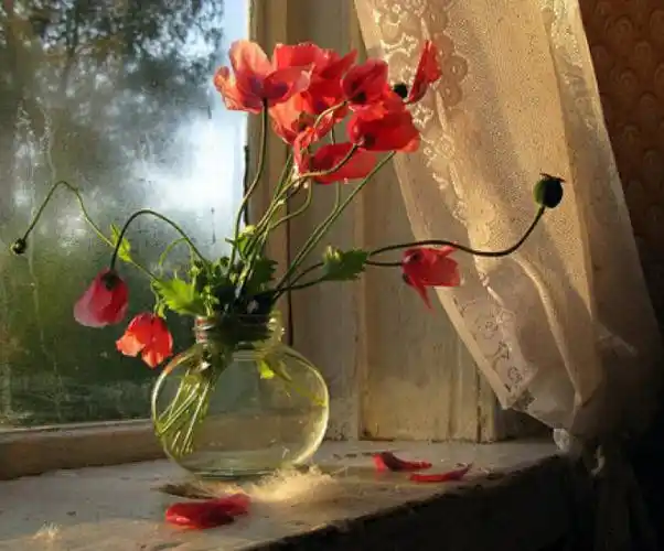 和阳光的人在一起,心里就不会晦暗;和快乐的人在一起,嘴角就常带微笑