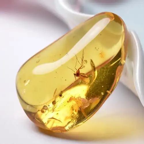 顶级天然琥珀 虫珀随形挂件 4.72克 内含昆虫包体