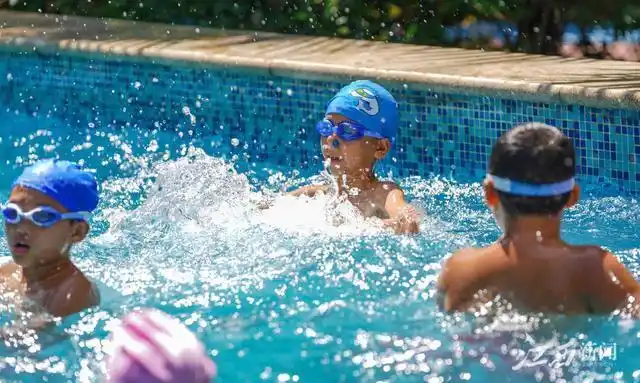 7月10日,新余市逸夫小学四年级学生正在进行游泳训练.