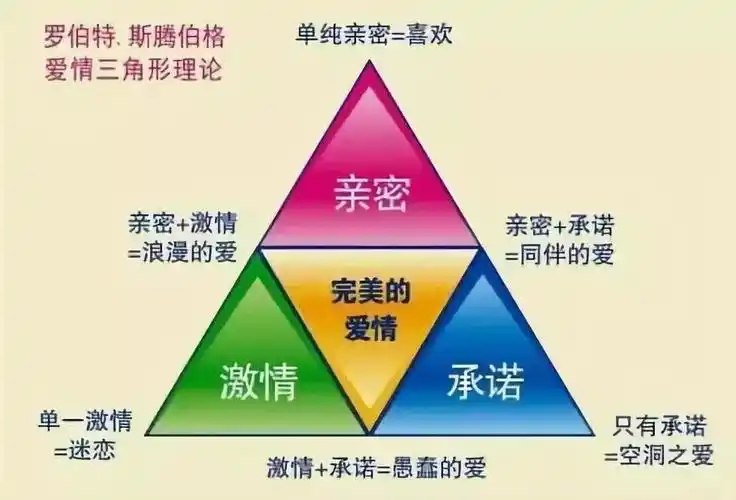 亲密关系的三种学说_阶段