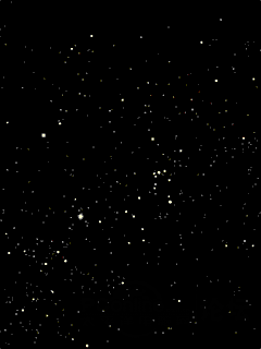 240_320竖版 竖屏gif 动态图 动图