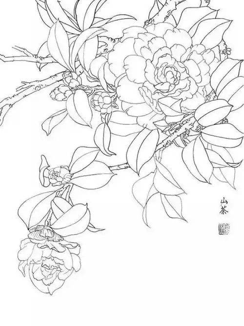 书画收藏鉴赏长按此图识别二维码关注白描花卉临摹素材