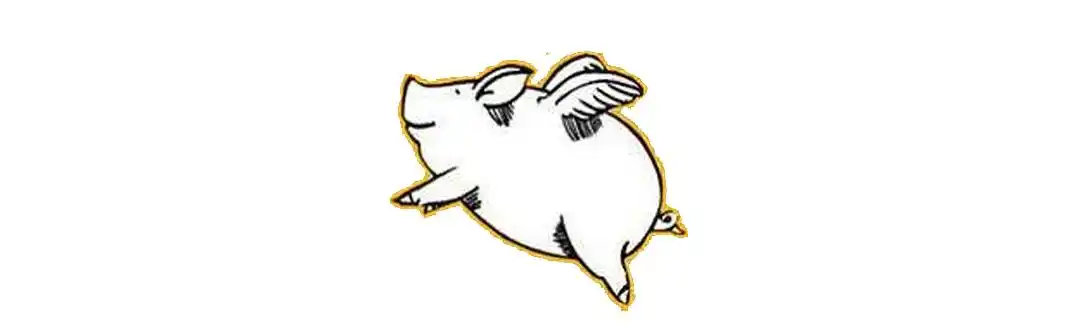 如果电动车是风口恒大会是长出翅膀的猪吗