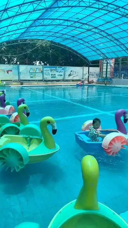 莆田凤凰山公园水上儿童乐园之小鸭戏水