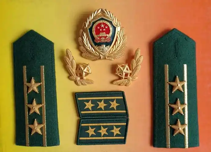 图:07式武警上校警衔肩章,领章图:07式武警大校警衔肩章,领章图:07式