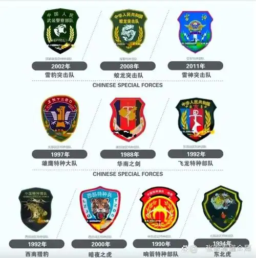 中国十大特种部队一览