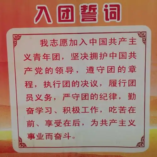 张汪中学创建"中学共青团工作规范化学校"之制度领航篇