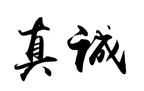 真诚比成都建网站行业本身更重要