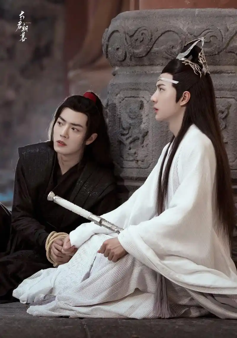 陈情令忘羡肖战王一博