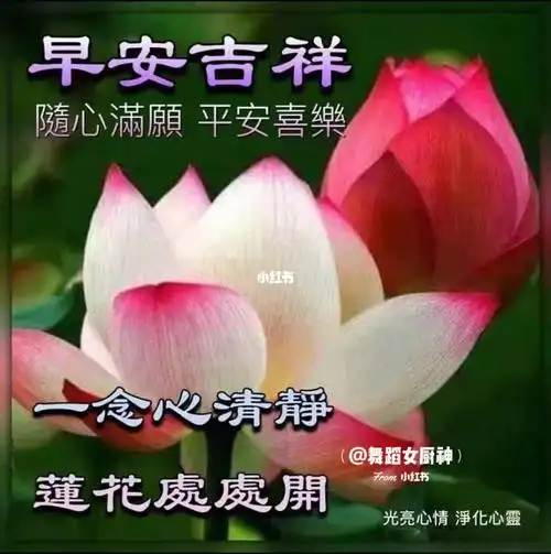 早上好98771599平安喜樂!