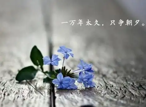 看淡看开无所谓图片,一切看淡一切随缘的图片