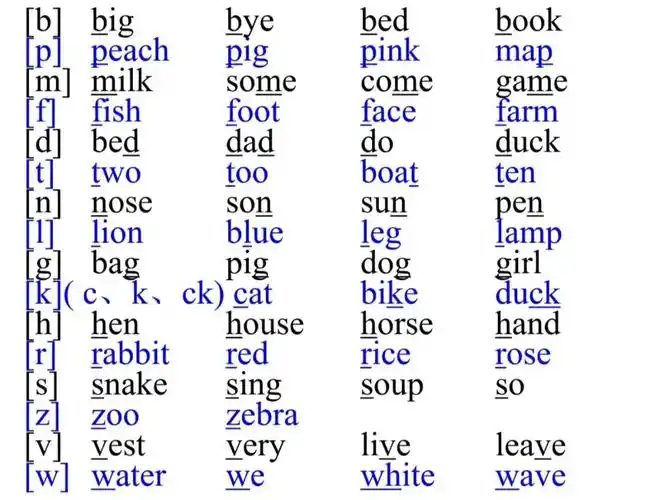 28个辅音音标(分为清辅音和浊辅音)