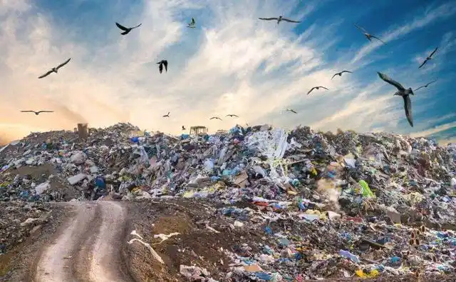 生态环境被破坏,各种动物灭绝