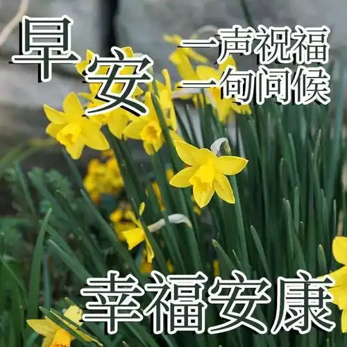 上午好问候语图片大全朋友上午好祝福语