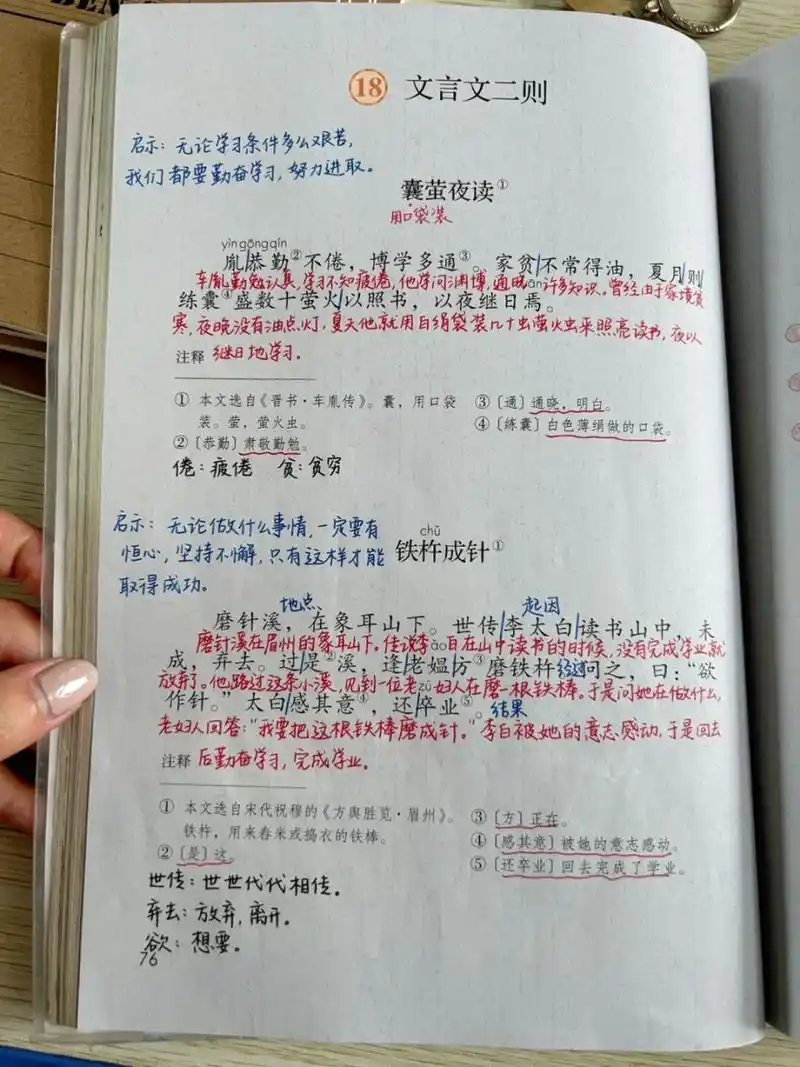 四下语文课堂笔记|第18课 文言文二则 #小学语文# #小学语文课堂笔记