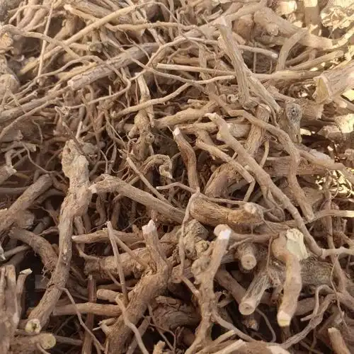 野生枸杞子树根枸杞根地骨根枸杞头枸杞子中药材枸杞树