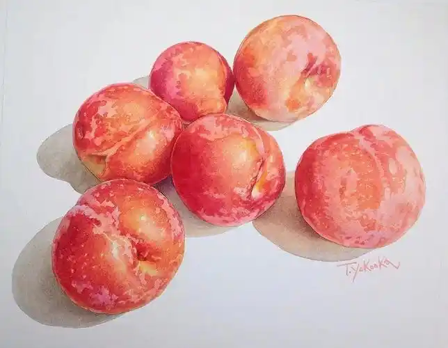 水彩分享水果世界ins